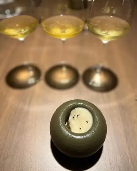 The ant-topped dessert