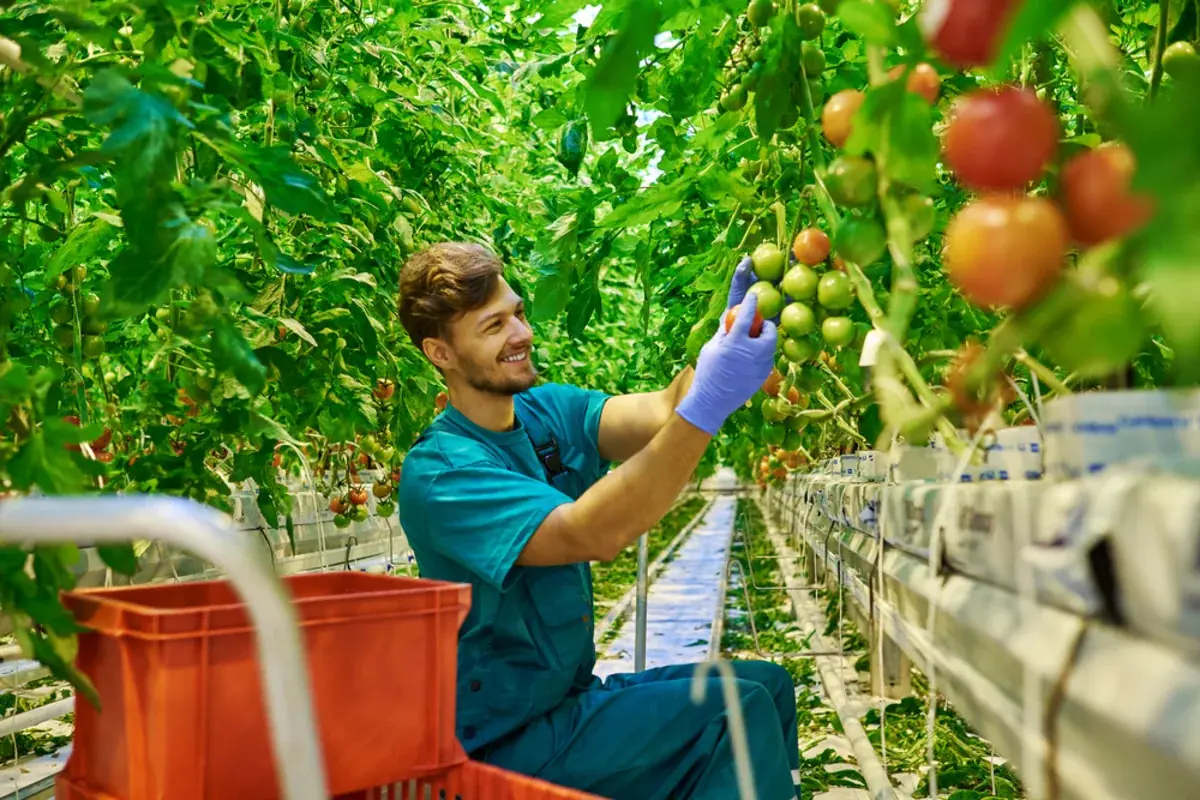United Natural Foods’ (UNFI) Path to Profitability–What Lies Ahead