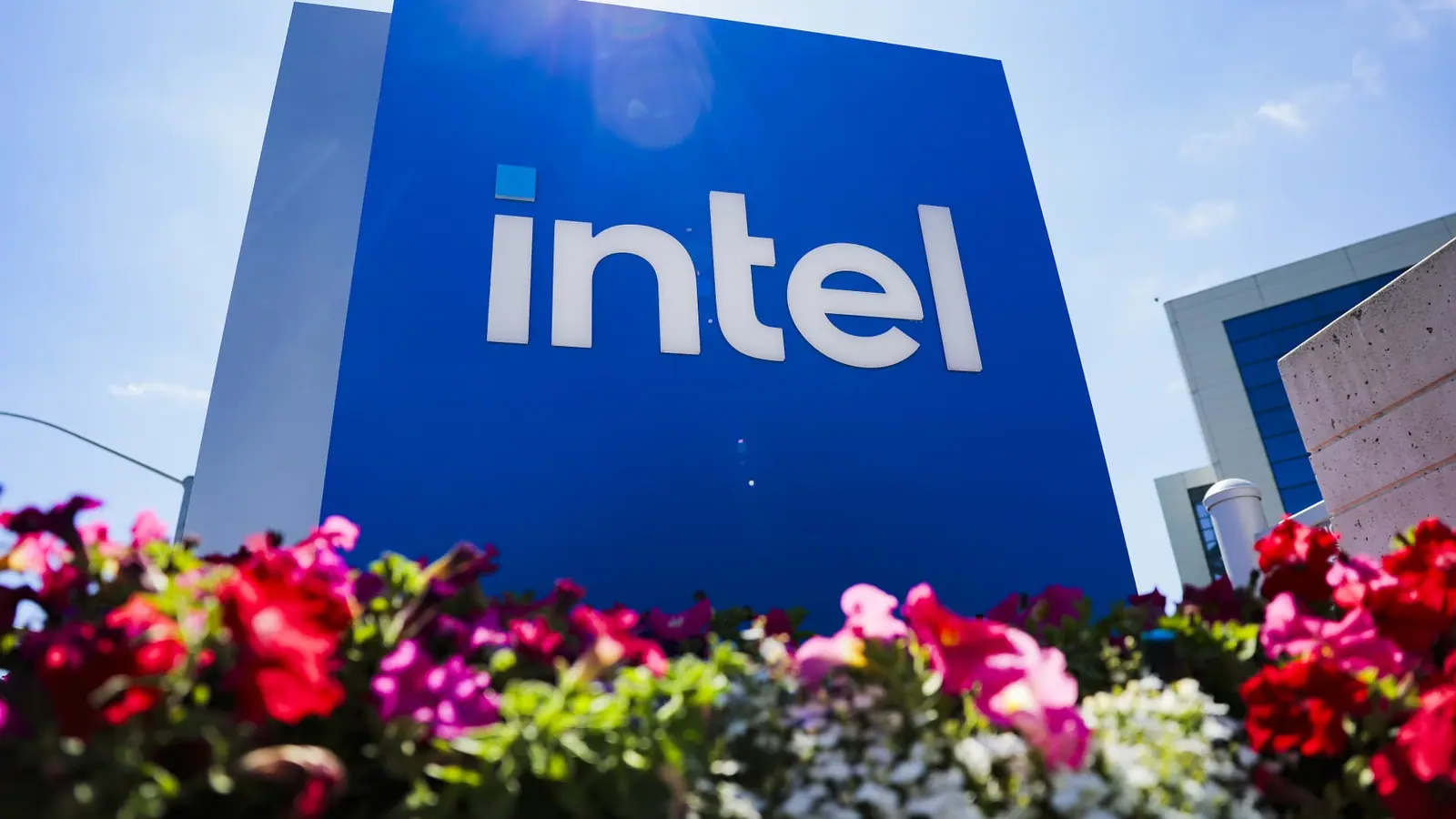 AI trade rebound sparks flurry of unusually bullish options activity
