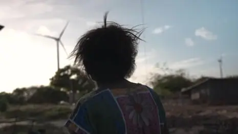 Brazilian farmers describe what it’s like living next to wind turbines – video