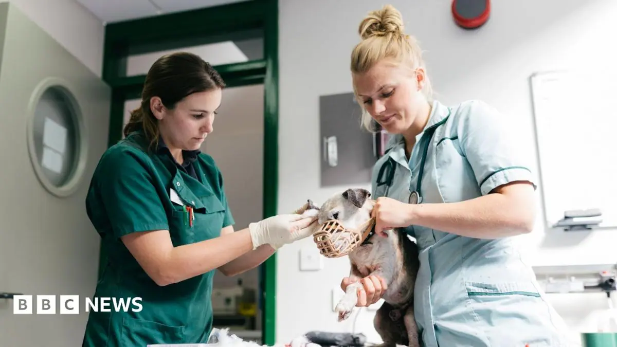 Vet prescription fees capped under rule changes