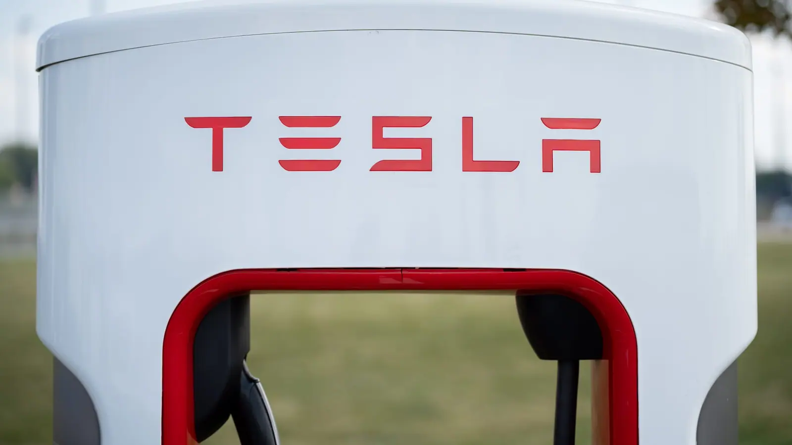 Tesla makes a move on Southeast Asia's largest EV market. A homegrown giant awaits