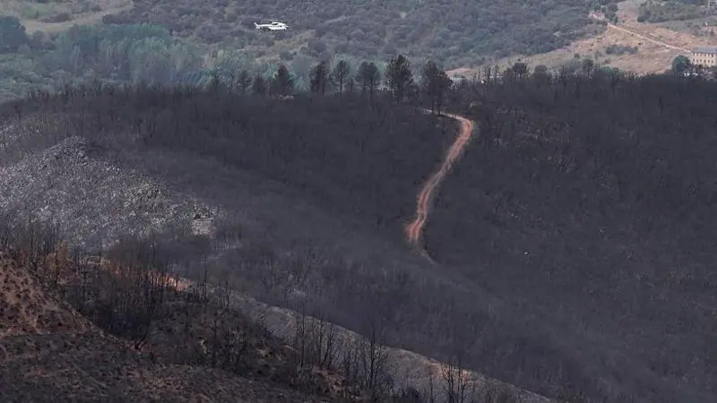 The aftermath of a wild fire on a hillside in north western Spain in August