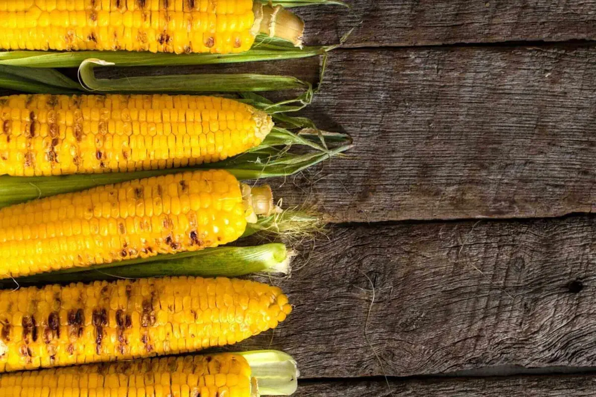 Corn Bulls Putting Risk Back at Monday’s Midday