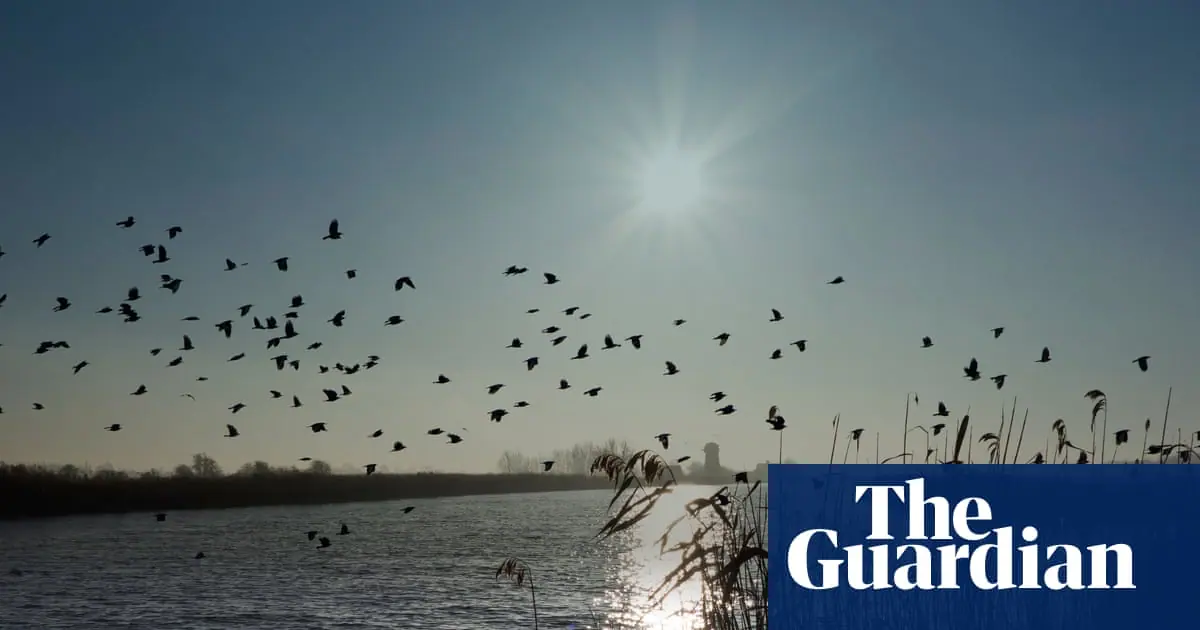 ‘Cash to trash’ levy on house developers too low to offset damage to Norfolk Broads, say critics