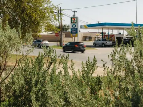 A 7-Eleven convenience store and gas station surrounded by vegetation.