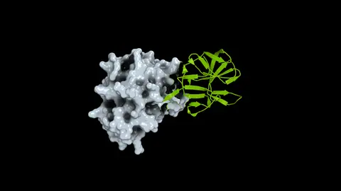 How Open Science Can Help Researchers Prepare for the Next Pandemic