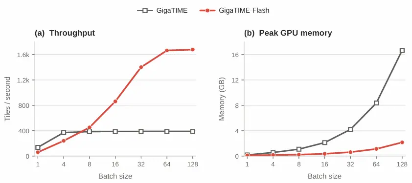 Figure 4: GigaTIME efficiency scaling. Left: throughput (tiles/sec) vs. batch size. Right: peak GPU memory (GB) vs. batch size. GigaTIME-Flash scales to over 1,600 tiles/sec while using a fraction of…