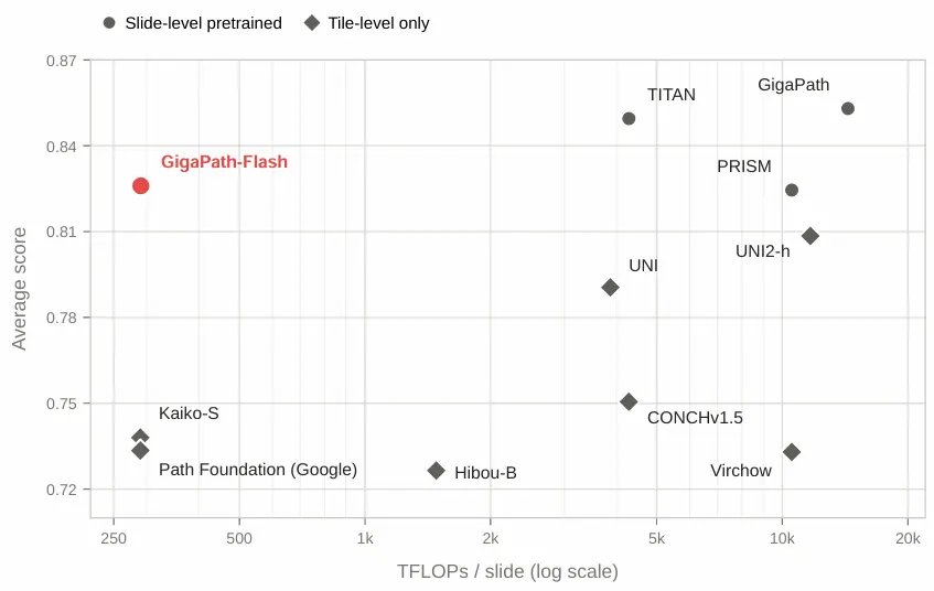 Figure 2: Efficiency–performance trade-off on whole-slide benchmarks. GigaPath-Flash (red, top-left) achieves competitive performance at substantially lower computational cost than other whole-slide…