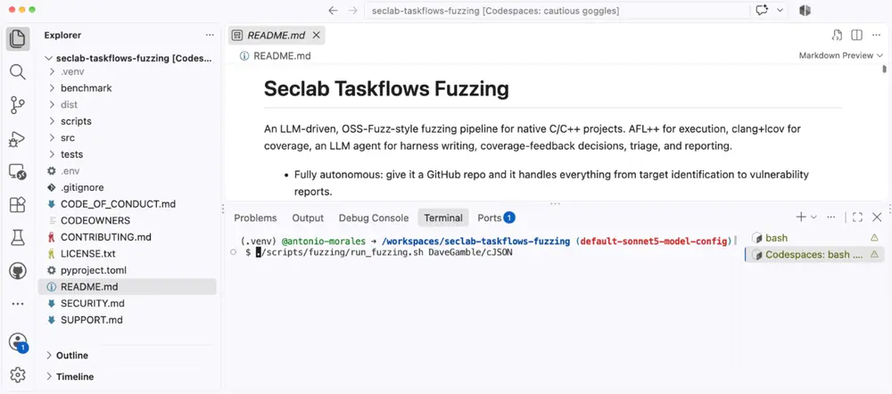 Screenshot of Seclab Taskflows Fuzzing.