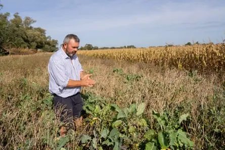 Hatley standing in a field