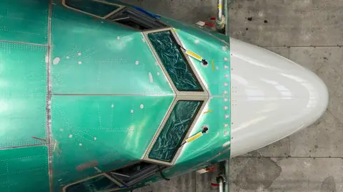 Boeing flags 737 Max software glitch affecting some automated approach functions