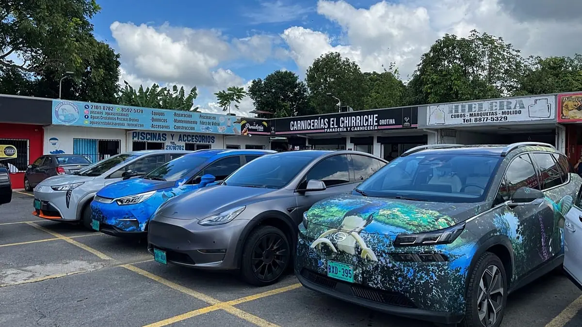 Why Norwegians are buying more Chinese EVs despite growing scepticism
