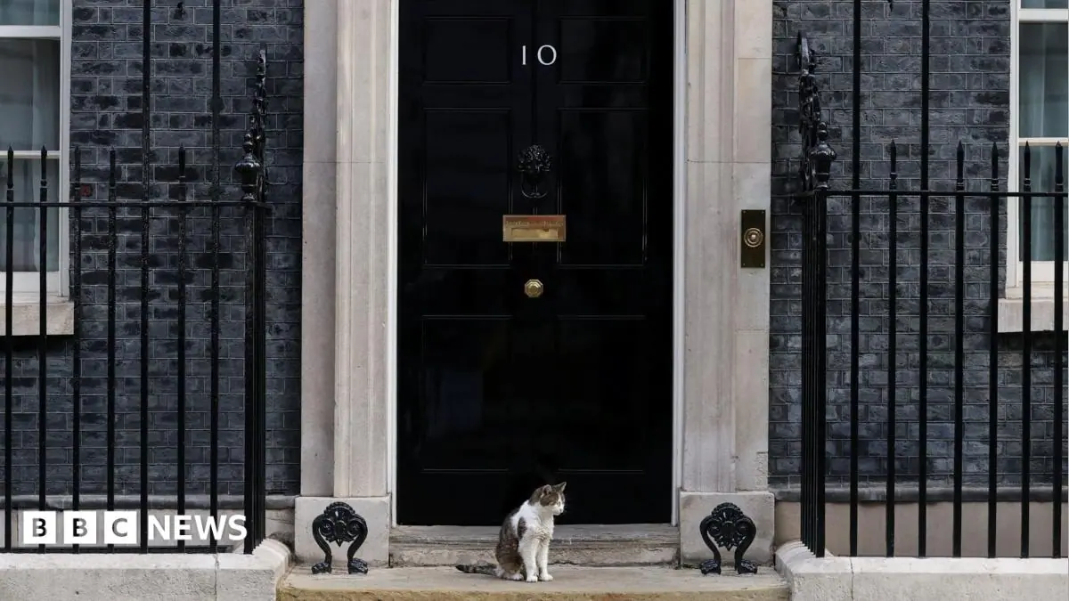 Fake 10 Downing Street listing exposes 'unfit' Booking.com, says consumer group