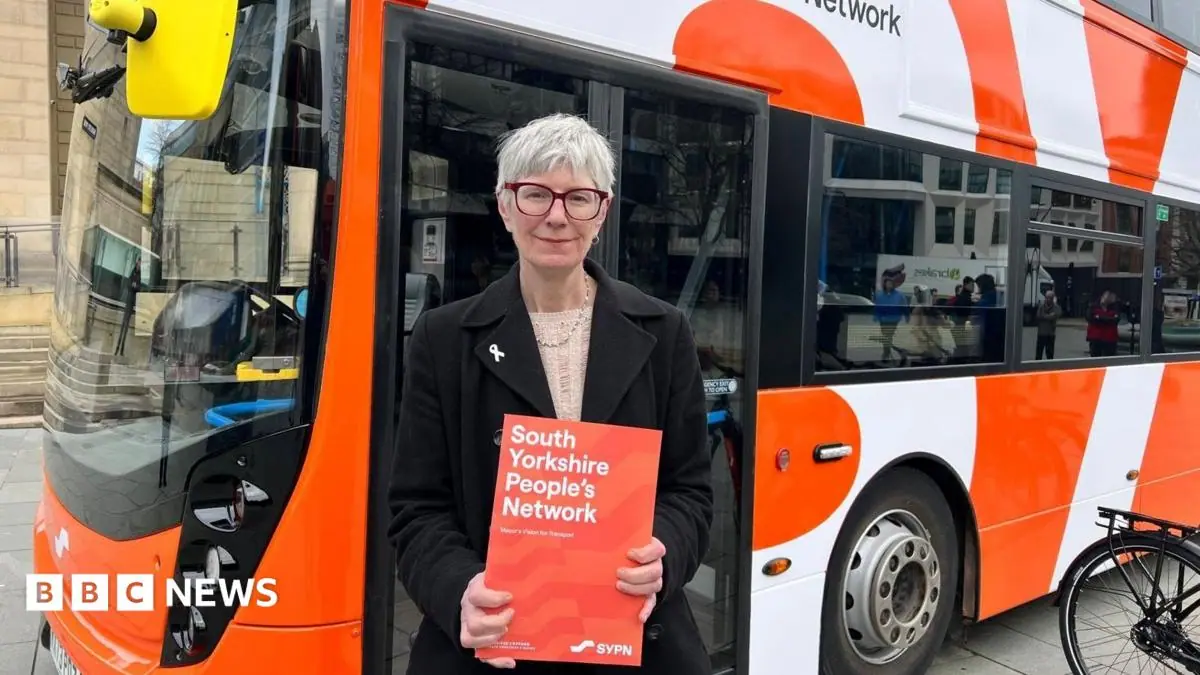 Free travel pilot scheme for young people approved