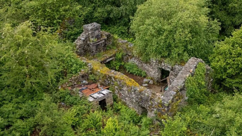 An aerial photo of a ruins of a roofless stone building surrounded by dense woodland and ferns. Moss and ivy cover parts of the crumbling walls, with a small corrugated-roof shed beside along one…