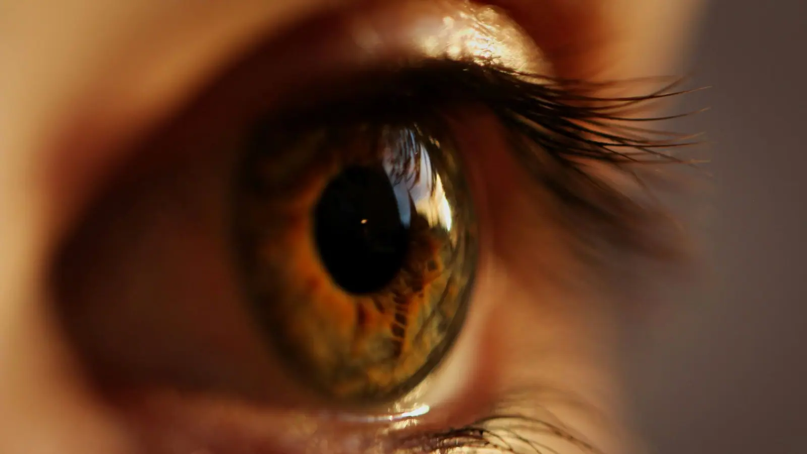 Denmark’s Breye Therapeutics raises €67.5 million to advance oral therapies for early treatment of retinal diseases