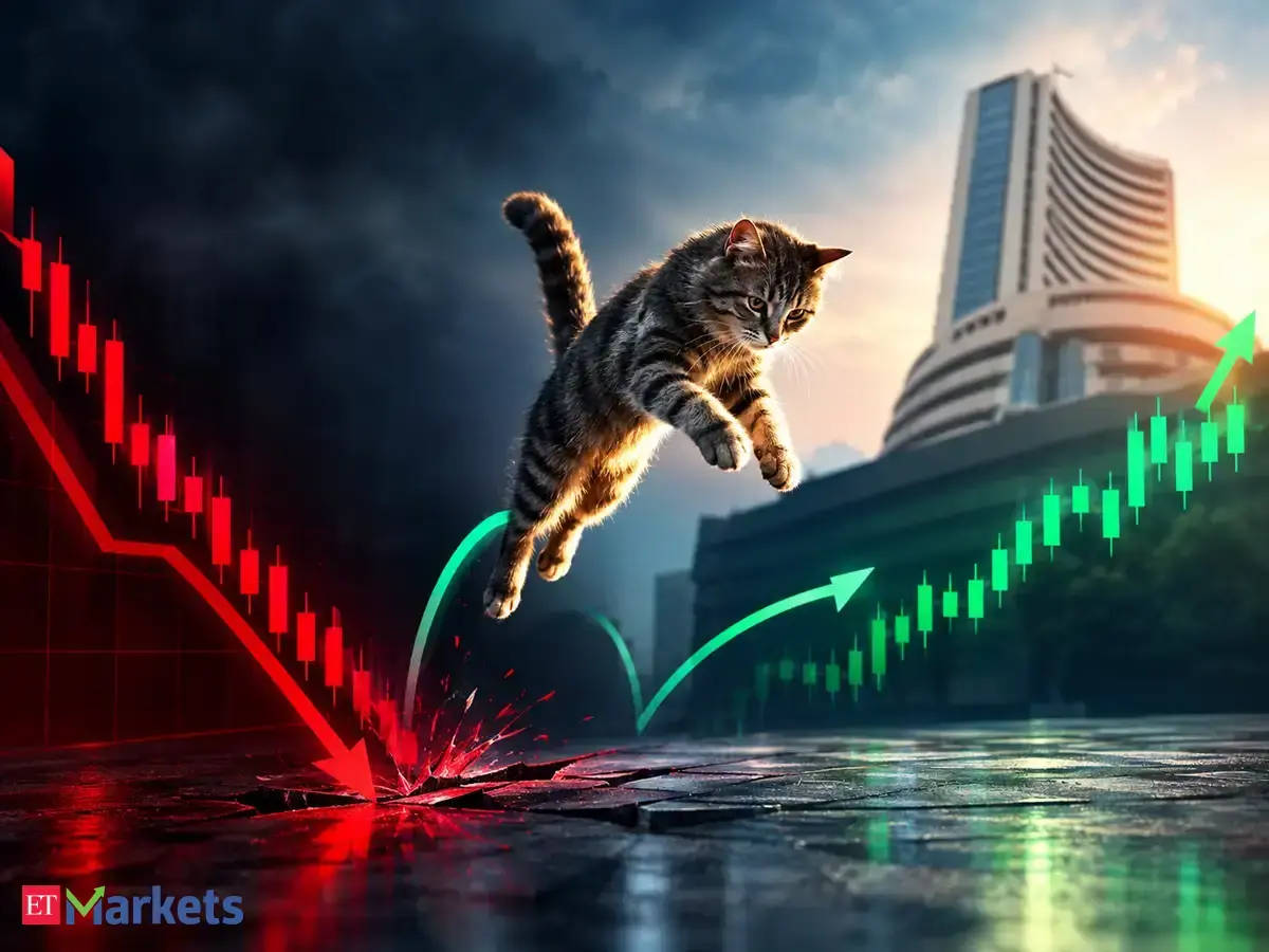 Nifty rebounds after record 8-week rout, but is this a dead cat bounce investors should fear?