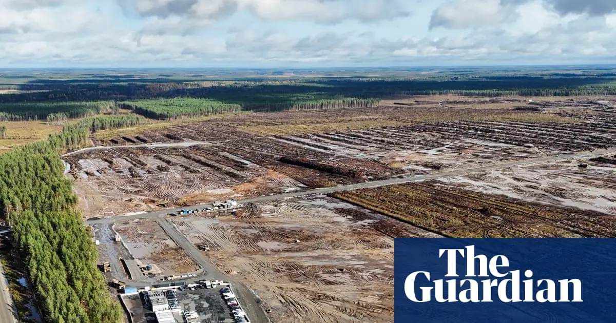 Google told to halt work on datacentres in Finland over environmental concerns
