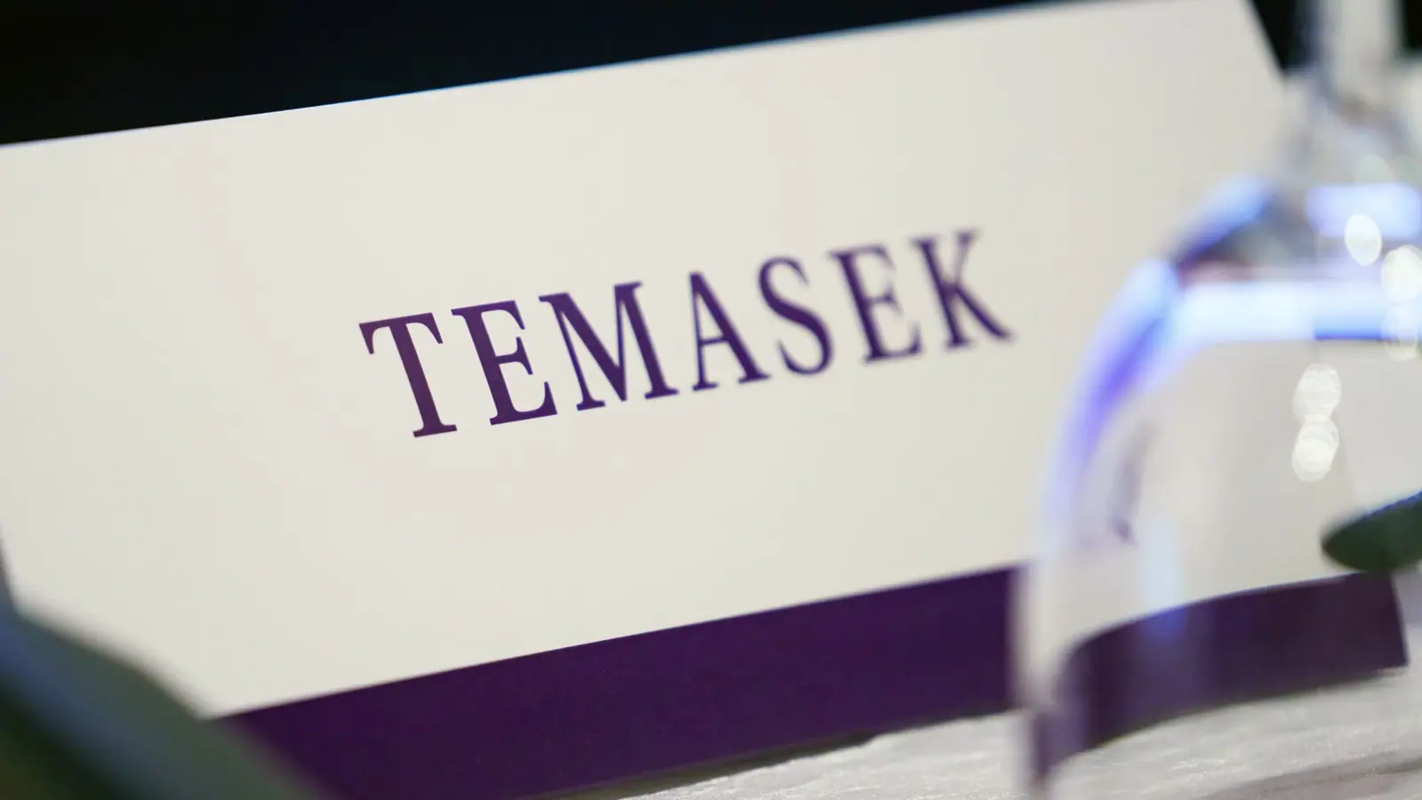 Singapore's Temasek warns of the ‘biggest risk’ facing markets right now