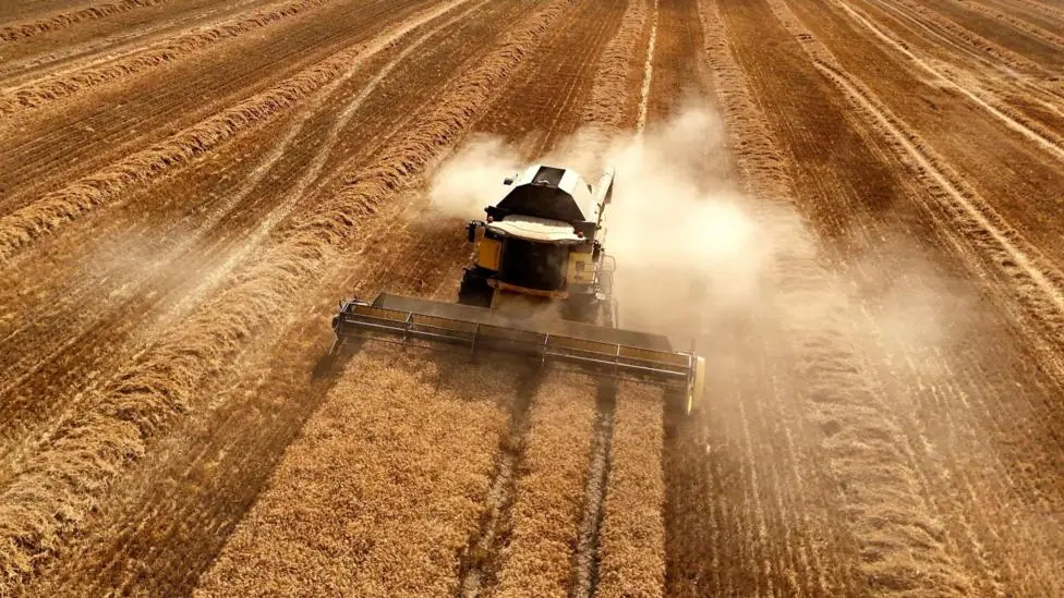 A combine harvester in a field from above