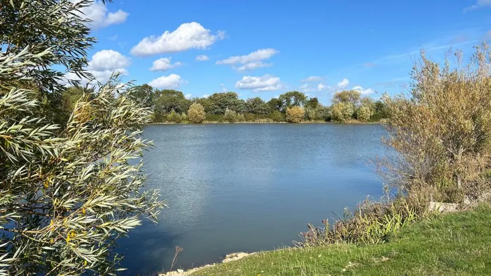 A lake with trees and grass on the side.