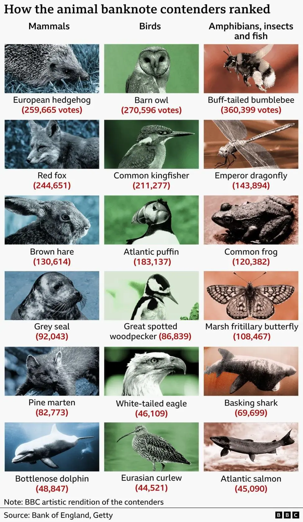 Infographic showing the results of a public vote on animals shortlisted for potential Bank of England banknotes, grouped into three categories: mammals, birds, and amphibians, insects and fish. The…