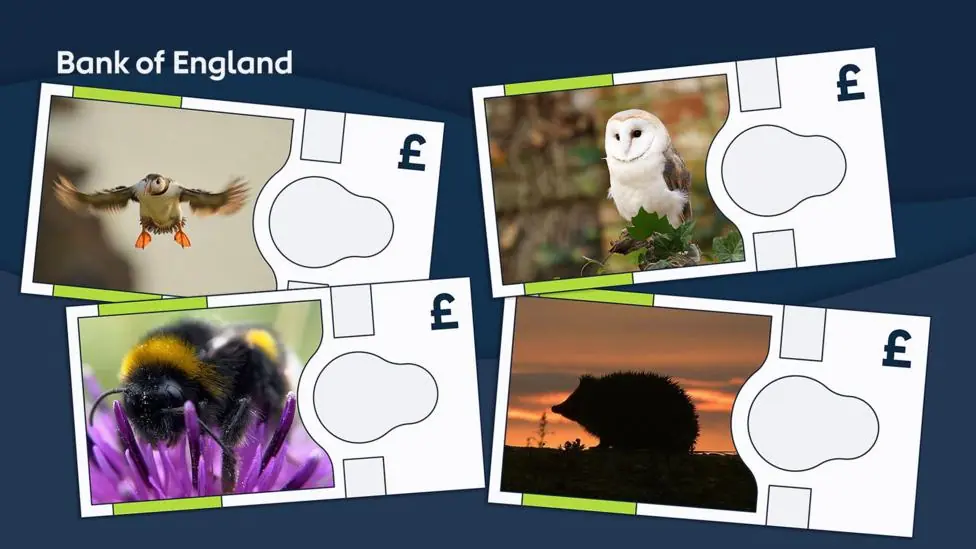 Undated handout photo issued by Bank of England of mock ups of the new bank notes. The Atlantic puffin, barn owl, buff-tailed bumblebee and European hedgehog will feature on the next series of…