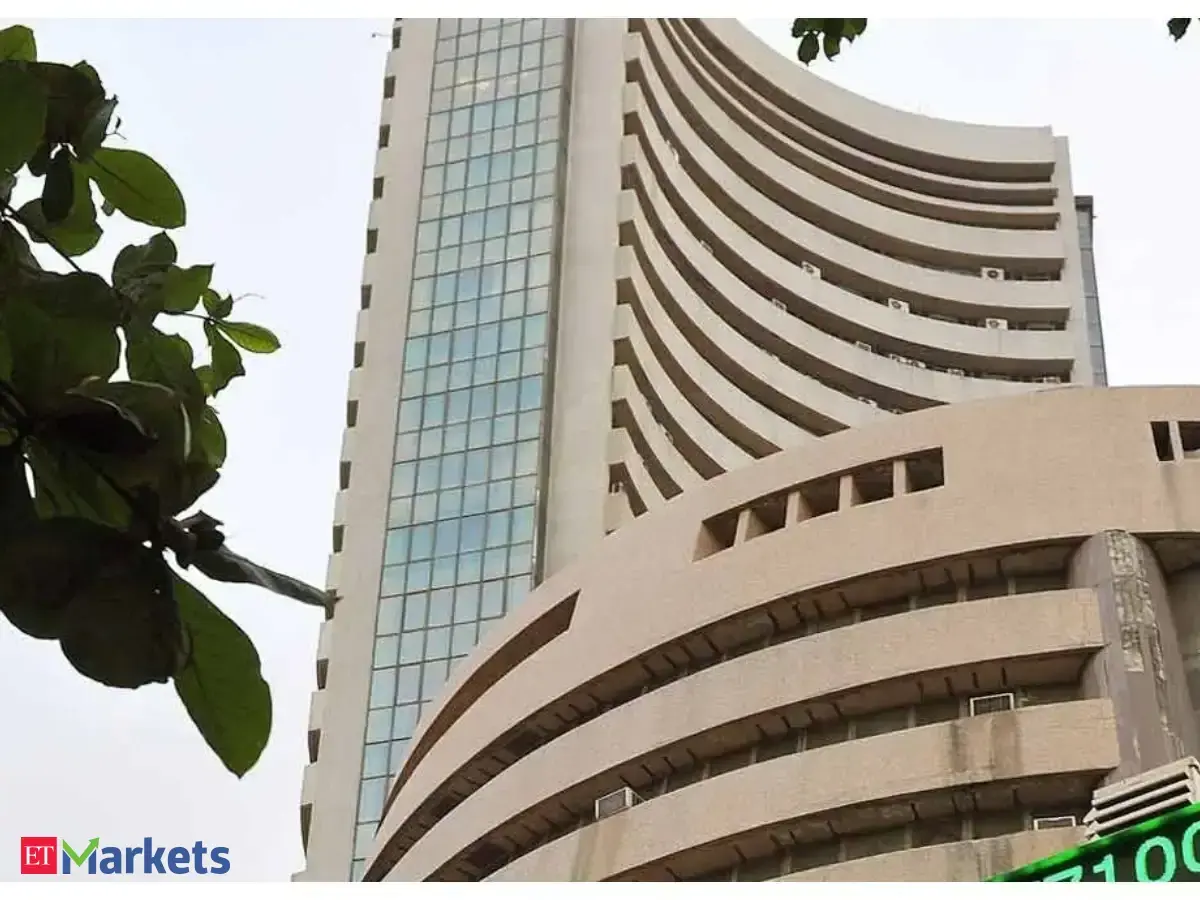Absence of AI in equities will become India's strength in a year, mkts to start attracting flows: CEA