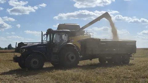 The world needs Ukraine’s grain. Its farmers are running out of reasons to plant