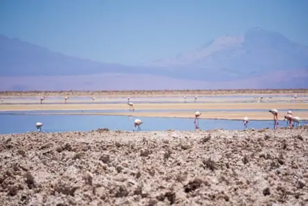 Flamingos in shallow water amid textured salt and a clay desert floor, and volcanic mountains in the distance.