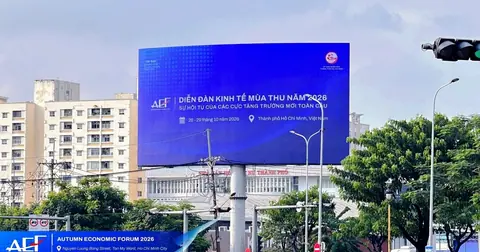 WEF to co-brand Autumn Economic Forum 2026 in HCMC