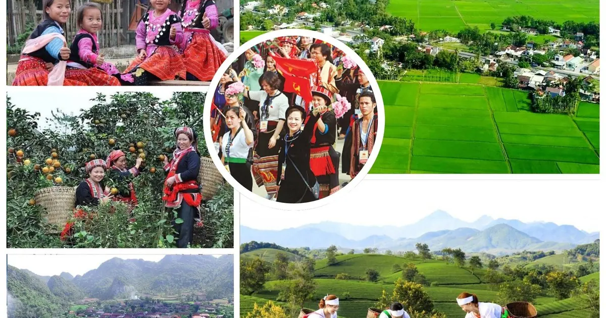 Central Steering Committee on national target program for on social, cultural, rural development in ethnic minority and mountainous areas 2026–2035 founded