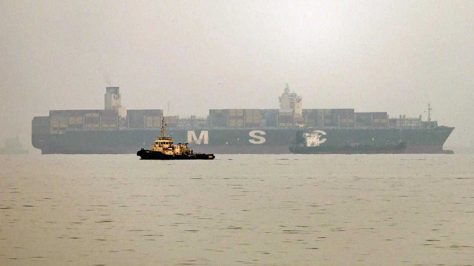 Oil falls as investors assess Mideast tensions, International Energy Agency's report