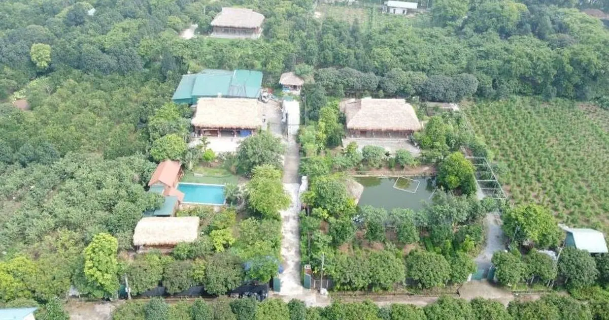 Đất thuộc nhiều quy hoạch có được chuyển thành đất ở?