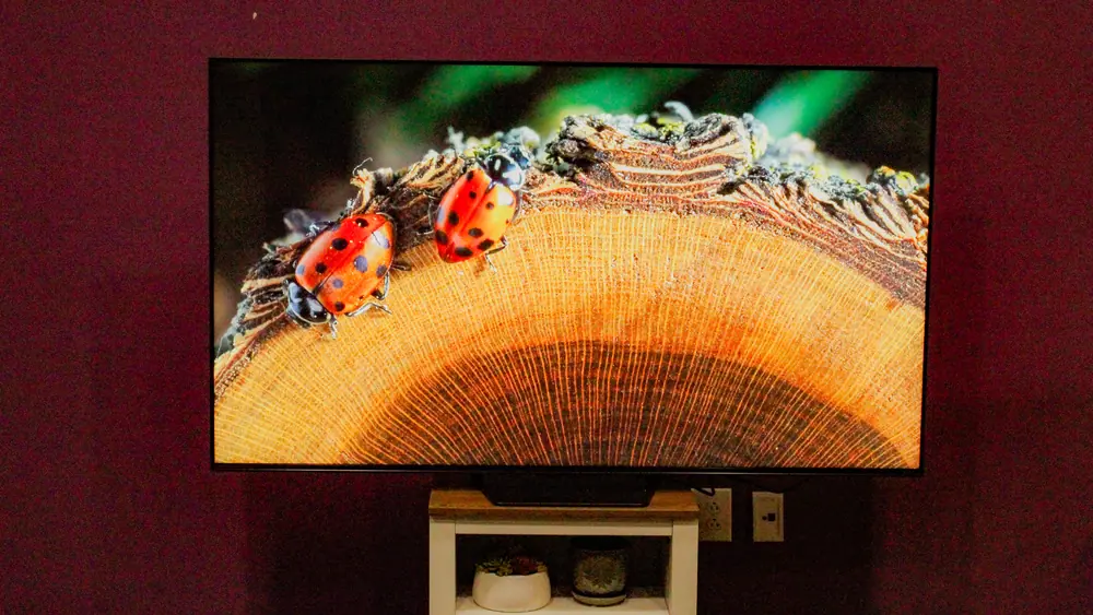 A Hisense UR8 showing two ladybugs on a log
