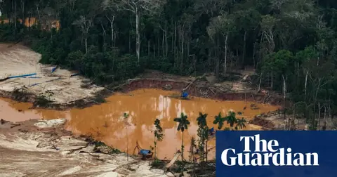 US corporate lobbyists mounted ‘blitz’ to dilute landmark EU deforestation law, report finds