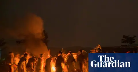 The next ayahuasca? Gabon fights to protect sacred plant from US drug companies
