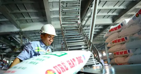 Đề xuất giảm thuế xuất khẩu phân bón từ 5% xuống 0%