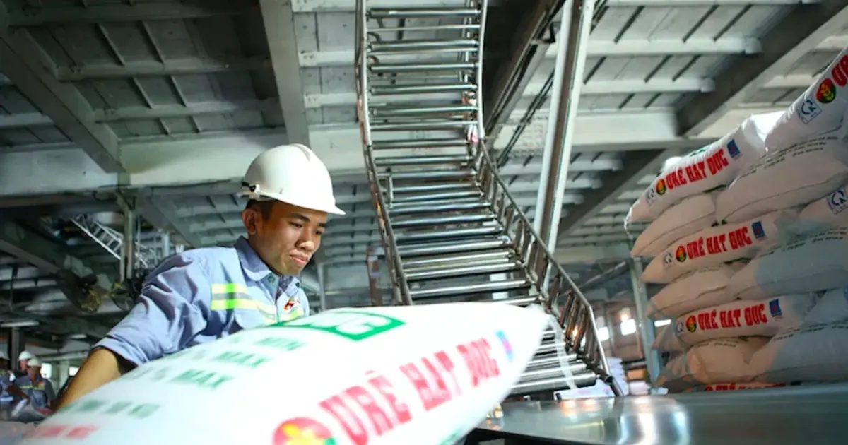 Đề xuất giảm thuế xuất khẩu phân bón từ 5% xuống 0%
