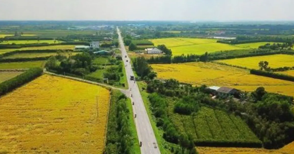 Đất nông nghiệp sát đường tỉnh chuyển sang đất ở cần lưu ý gì?