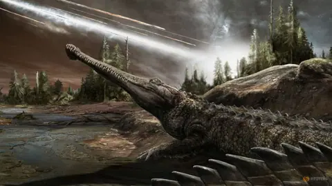 An affinity for warm climes has helped crocs thrive for eons