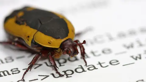 XRP Ledger bug fix moved to November after validator support dipped for two hours