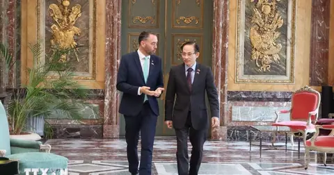 Belgium treasures relations with Viet Nam: Deputy PM Maxime Prévot