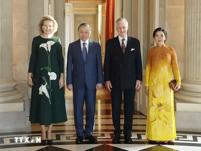 Top leader To Lam meets King Philippe of Belgium in Brussels - Ảnh 1.