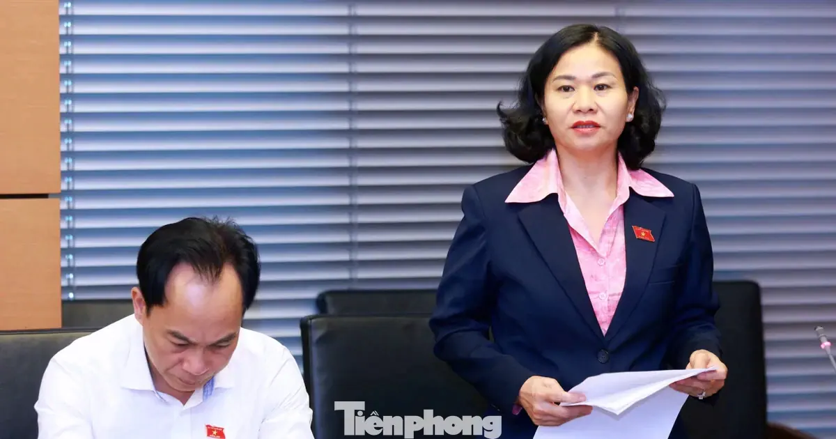'Nếu xử phạt quá thấp, người vi phạm có thể coi tiền phạt là một khoản chi phí trong hoạt động kinh doanh'