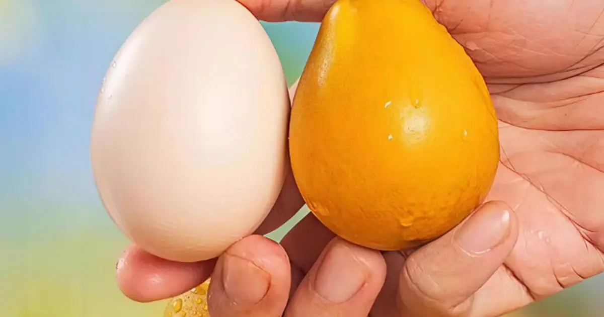 Đắt gấp 5 lần sầu riêng, láng giềng Việt Nam sở hữu báu vật nông sản được mệnh danh ‘Hermès trái cây’: Giá hơn 750.000 đồng/kg, trồng ít nhất 2 năm mới được thu hoạch