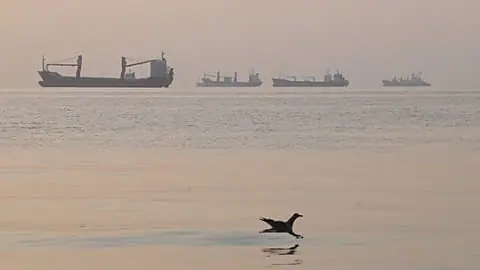FILE. A bird flies low over the water as cargo ships lie at anchor in the Strait of Hormuz off Bandar Abbas, Iran, 24 Oct. 2026