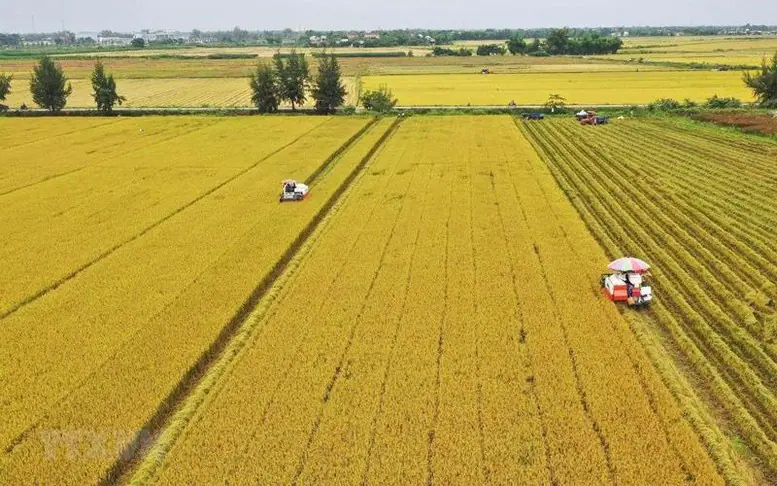 Dự án sử dụng đất do UBND xã quản lý có phải thực hiện thủ tục thu hồi? - Ảnh 1.