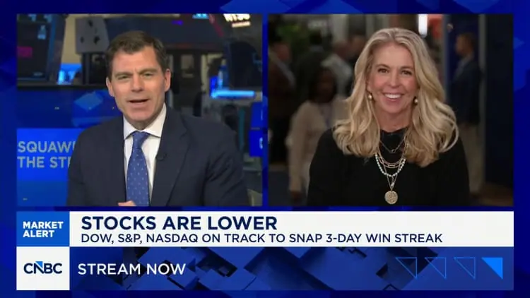 Rotations in the market are likely to continue, says Schwab Center's Liz Ann Sonders